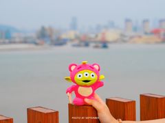 -芒洲湿地公园