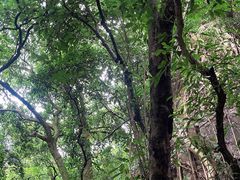 -飞霞风景名胜区