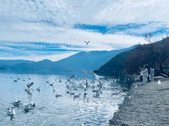 -丽江泸沽湖景区