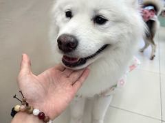 -怪兽屋·羊驼·猫咖·狗咖(俊华广场店)