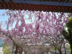 -荣德灶台鱼(圣泉寺店)