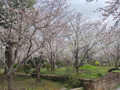 -广富林郊野公园