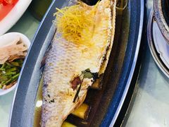 清蒸鲥鱼-绍兴饭店(大宁店)
