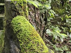 -綦江古剑山