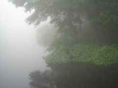 -洛阳白云山景区