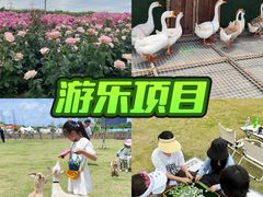 -栖露营camping·天幕烧烤·团建拓展·采摘营地