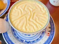 双皮奶-捷信牛奶甜品世家(五道口店)