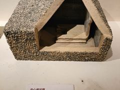 -敦煌莫高窟