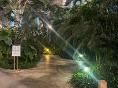 -中家鑫园温泉酒店鑫悦汤泉