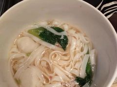 -MR鹅外