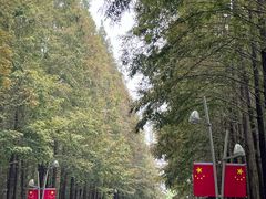 -日照海滨国家森林公园