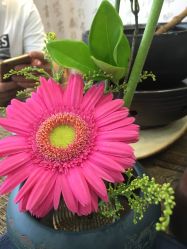 -尚玲纹绣纹眉特价店