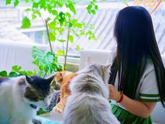 -小时光咖啡馆(北锣鼓巷店)