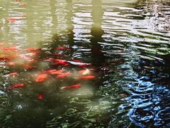 -东坡赤壁风景名胜区