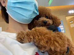 -萌兽医馆·犬猫专科·眼科中心·宠物医院(朝阳门分院)