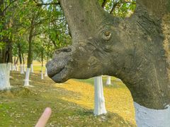 -艾溪湖湿地公园