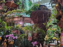 -正佳雨林生态植物园
