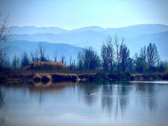 -西昌邛海湿地