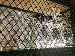 -嘎嘎鸭脑壳(金琴店)