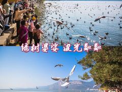-滇池海埂公园