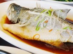 清蒸桂鱼-花园茶楼(兴城西路店)