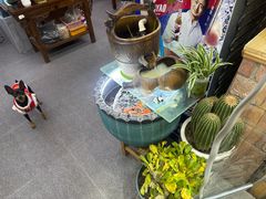 -老姐石板烧烤+铜炭火锅(总店)