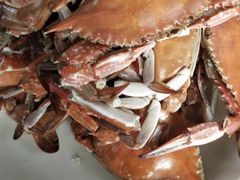 -四海鲜渔家菜(黄金海岸店)