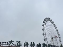 -大连森林动物园
