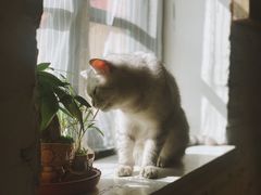 -不舍昼夜咖啡馆