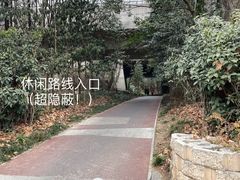 -紫金山山顶公园