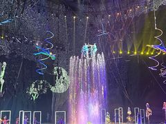 -灵玲国际马戏城