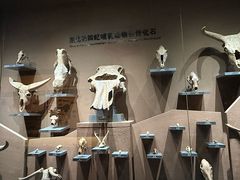 -大庆市博物馆