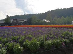 -富田农场