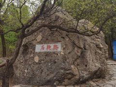 -阳台山自然风景区