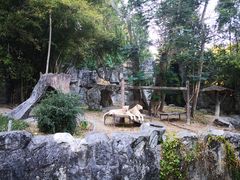 -清迈夜间动物园