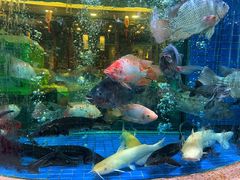 -客家汇·客家传承菜(水库店)