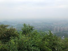 -杭州半山国家森林公园