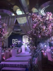 点击看大图 -苏州福朋喜来登酒店·宴会厅