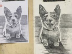-黑骏画室·深圳美术中高考黄埔军校