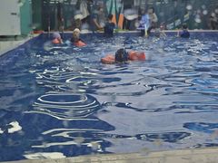 -Swim斯卫姆国际儿童游泳中心(红博中央公园店)