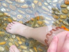 -融汇温泉
