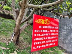 -桃源山庄·水蜜桃采摘·柴火鸡·烧烤团建(龙泉山店)