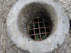 -上海佘山国家森林公园天马山园