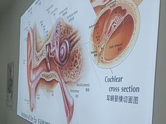 -自然之声助听器·呼吸机(康桥旗舰店)