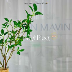 -JONMAVIN·美学