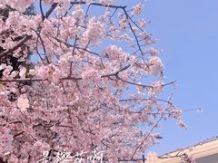 -静安雕塑公园