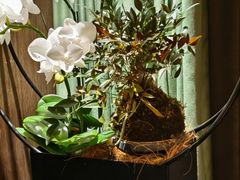 -王府茶宴(大观园总店)