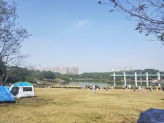 -东莞植物园
