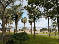 -普陀山风景名胜区-千步大沙