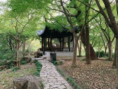 -秋霞圃